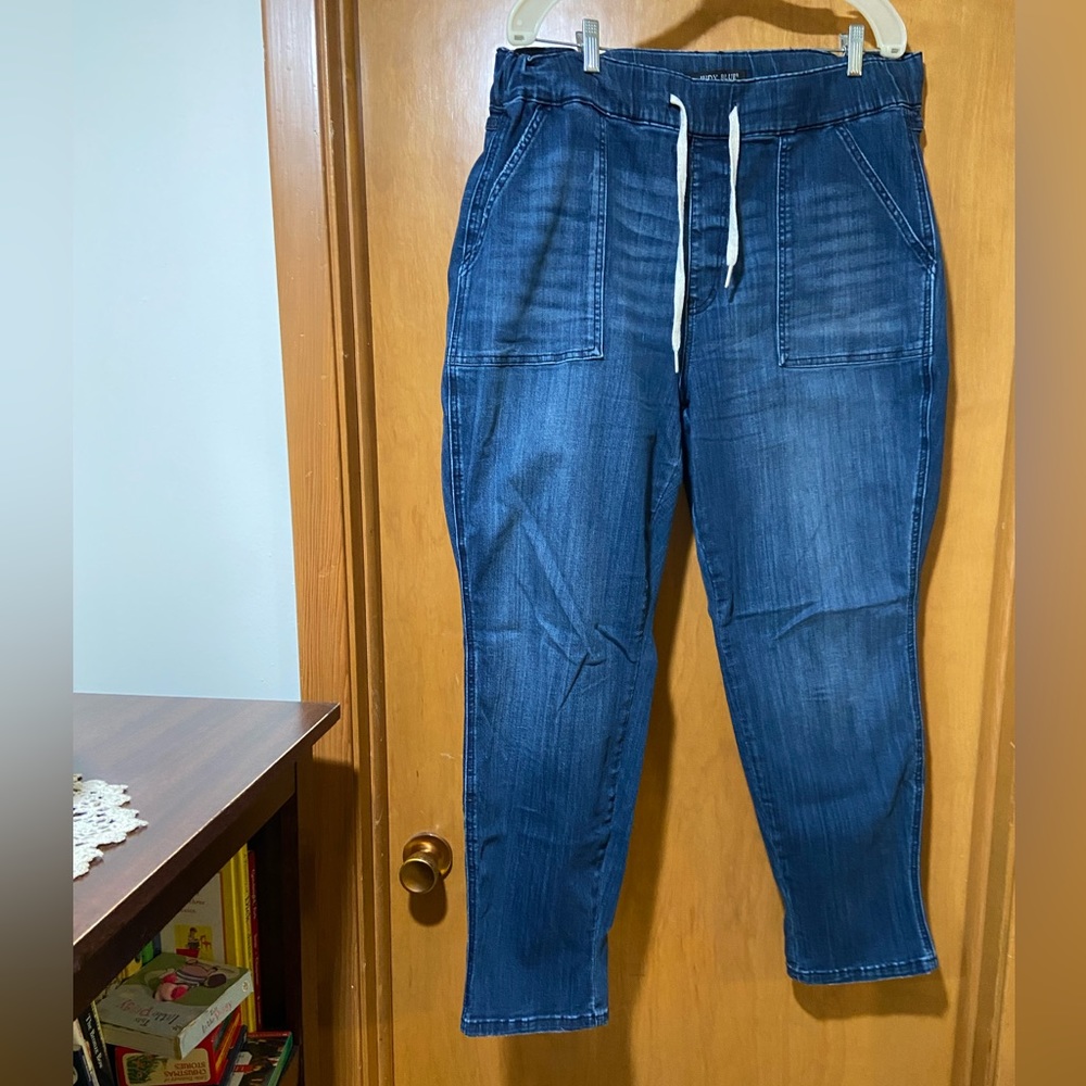Women’s Judy Blue Jogger Jeans.  Size 18w